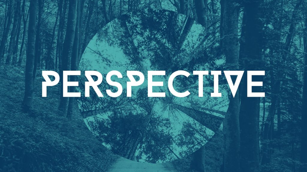 Perspective